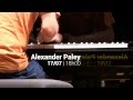 Les coulisses - Alexander Paley - 17/07/2015