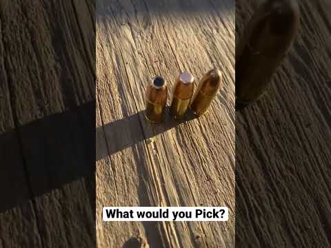 Hollow Point Flat Tip Or FMJ?