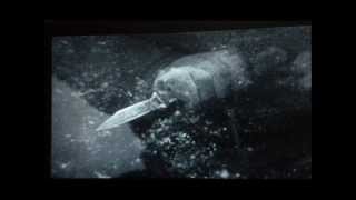 Saddest Akira Ifukube Themes