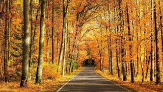 Trezește-mi gânduri - Nicolae Moldoveanu