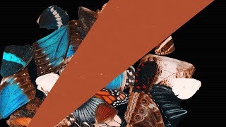 Kidnap Ft Leo Stannard - Willow Tree (Kidnap Dub) video