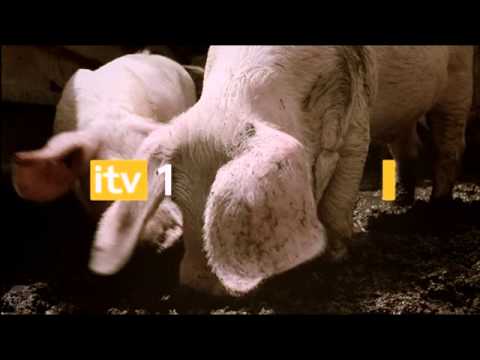 ITV1 ident 2006 - Fun