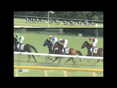 2015.05.31 Tokyo Yushun (Japanese Derby) - Duramente