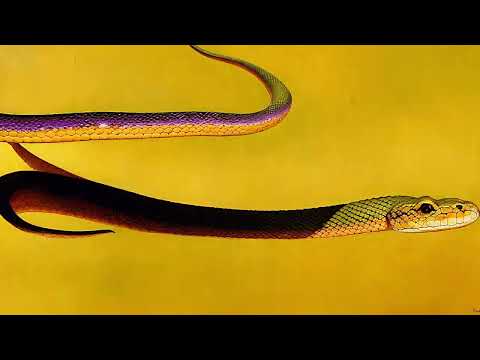 Video thumbnail for Ouroboros