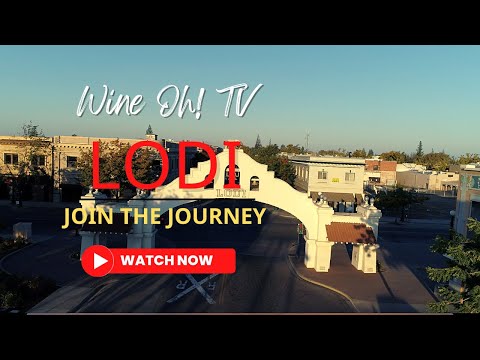 Discover Lodi Wine Country: Old Vines, Unique Wines, And Delicious Traditions