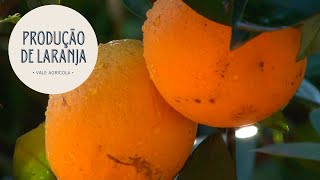 Miniatura do vídeo
