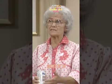 The Hilarious Chaos of a Post-Divorce Doggie Duty