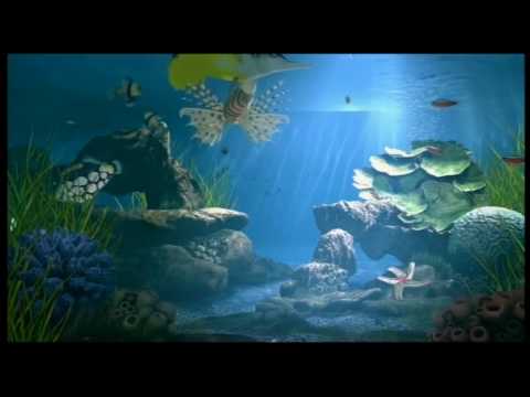Aqua Vita Playstation 3