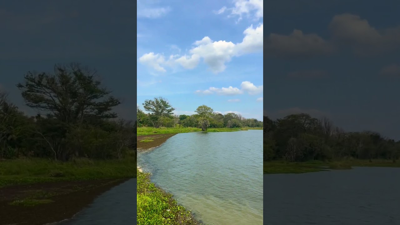 YouTube Short thumbnail