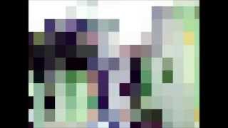 [Banyuwangi Ravers] Albert - Shuffle Enjoy [Titanic]