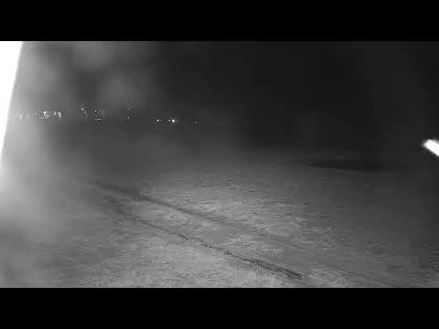 Djuma: Two Hyenas walk by heading towards the lodge - 00:04 - 10/02/21