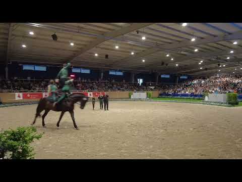 de Wittegheit 1 freestyle