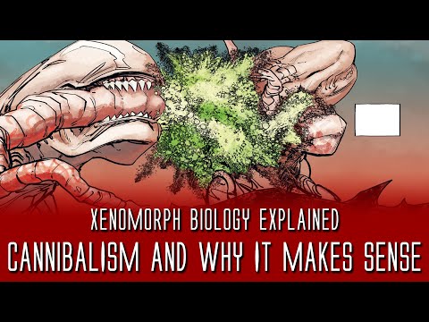 Xenomorph Cannibalism and Why it Makes Sense - Xenomorph Biology Explained