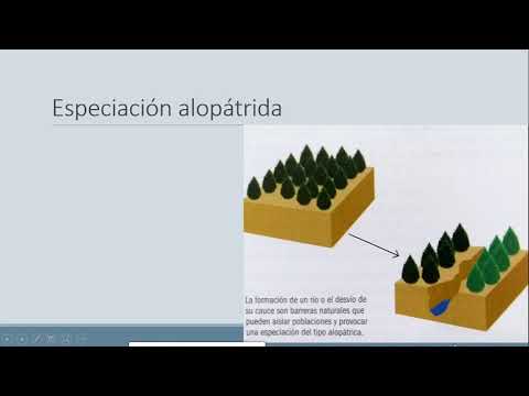 , title : 'Especiación para 6to'
