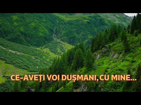 🎶 Ce-aveți voi dușmani, cu mine   – Glasul unui suflet care nu cedează