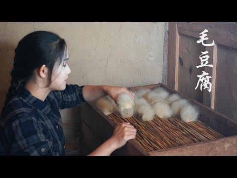 download lagu mp3 mp4 Cotton Tofu, download lagu Cotton Tofu gratis, unduh video klip Cotton Tofu