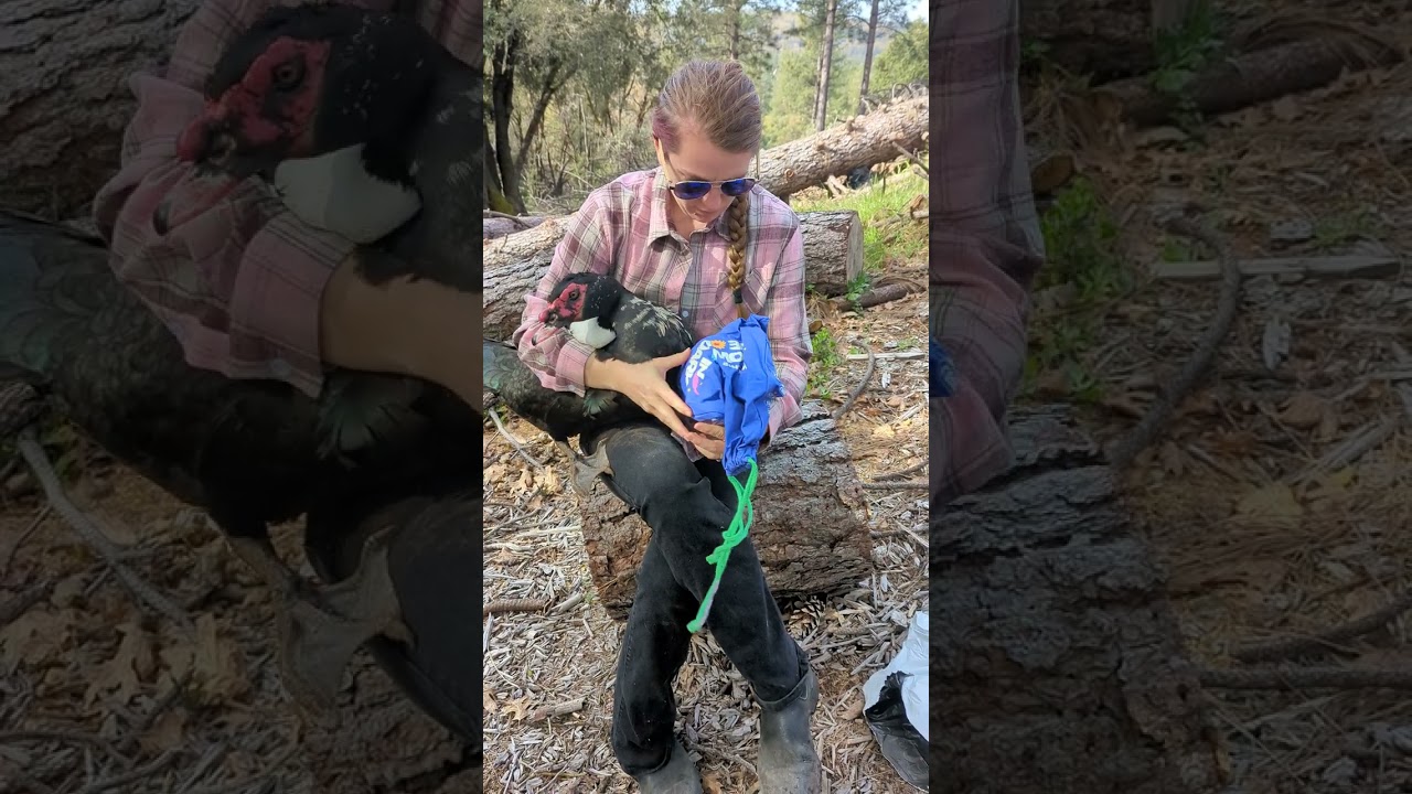 Unboxing my Emotional Support Demon