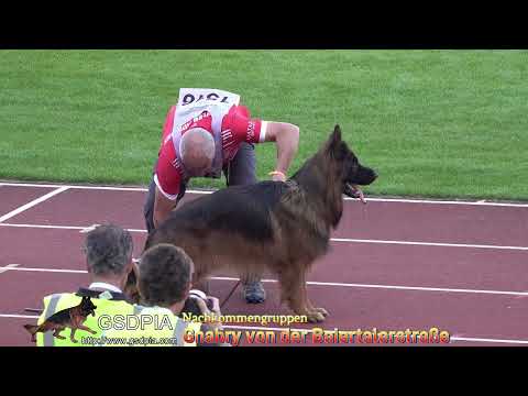 Gnabry von der Baiertalerstraße