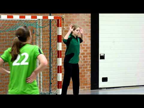 Handbal S.V. Orion 2012 (1) Dames A1 22-01-2012 De Beuk