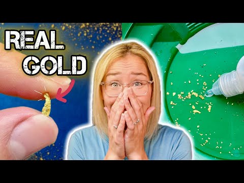 I Bought 4 Gold Paydirt Bags from Amazon... Here's What I Found