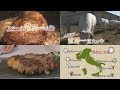 (抜粋)「イタリア・キアニーナ牛のTボーンステーキ」(ステーキ世界一の旅)