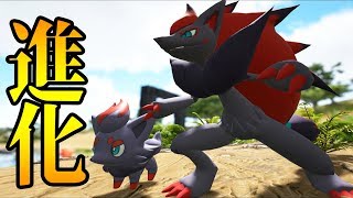 ゾロア ポケットモンスター ゴースト ゴクリン ココロモリ