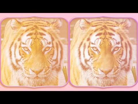 Tiger  Triinu Kivilaan Be With You