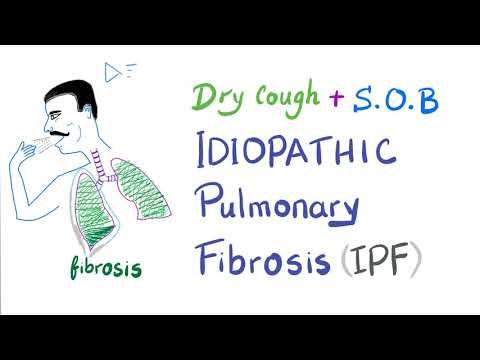 Idiopathic Pulmonary Fibrosis (Lung Fibrosis) - Restrictive Lung Disease - Pulmonology