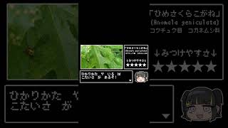 コガネムシって綺麗だよね～#shorts     #昆虫    #雑学