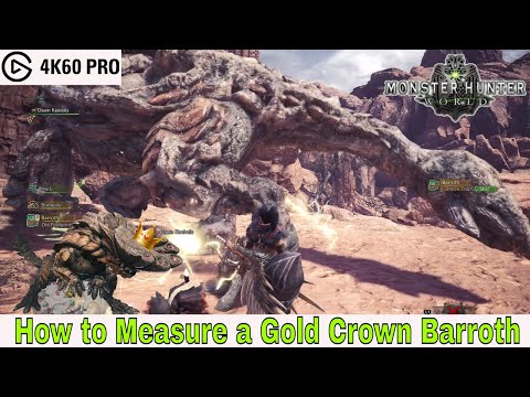 Monster Hunter: World - How to Measure a Gold Crown Barroth Video