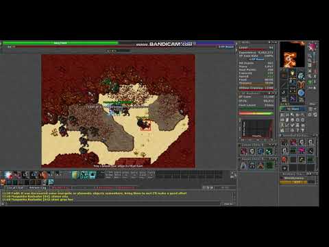 HUNT WERERHYAENA MAGE LVL 80 !