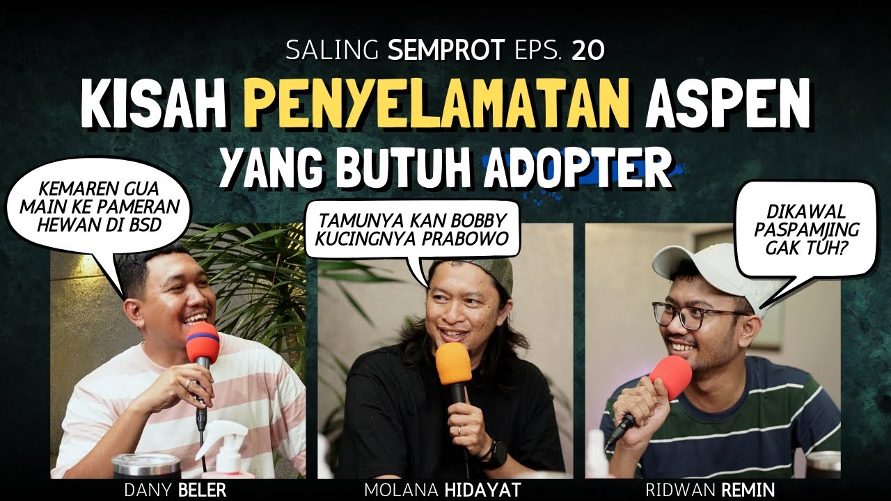 SALING SEMPROT EPS 20 - KISAH PENYELAMATAN ASPEN YANG BUTUH ADOPTER