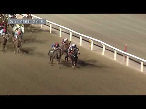 Pramms Memorial (Gr.3) 2016 - Hurricane Red