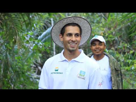 Curso de Seleção e Marcação de Árvores Matrizes do Cerrado