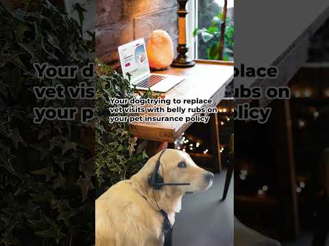 It's National Dog Day!