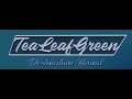 Tea Leaf Green Destination Bound