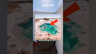 Download lagu The dangers of swimming in desert lakes!! mp3