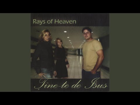 Tu ne-ai adus iubirea