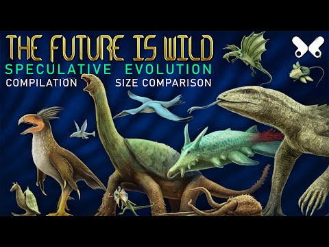 The Future is Wild: COMPILATION. size comparison