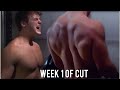 Chasing Aesthetics Ep 1 | 1st Week of Cutting & Full Day of Eating