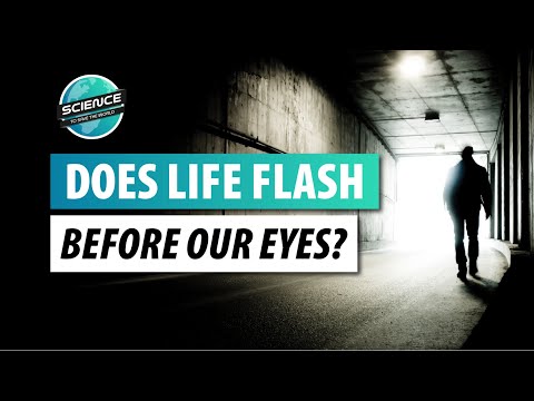 Consciousness in the Dying Brain - Science of Near-Death Experiences