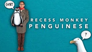 Recess Monkey – Penguinese Video