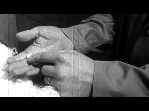 Stuff They Don't Want You to Know - Robert F. Kennedy