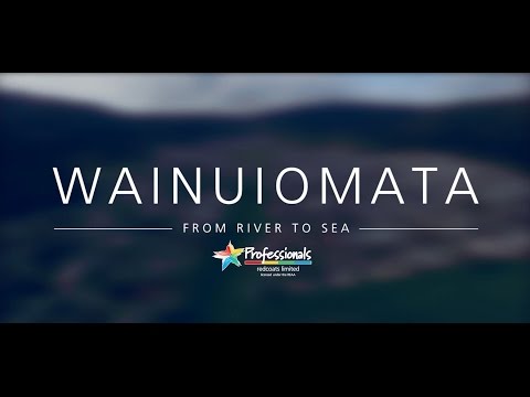 20 Northcote Street, Wainuiomata