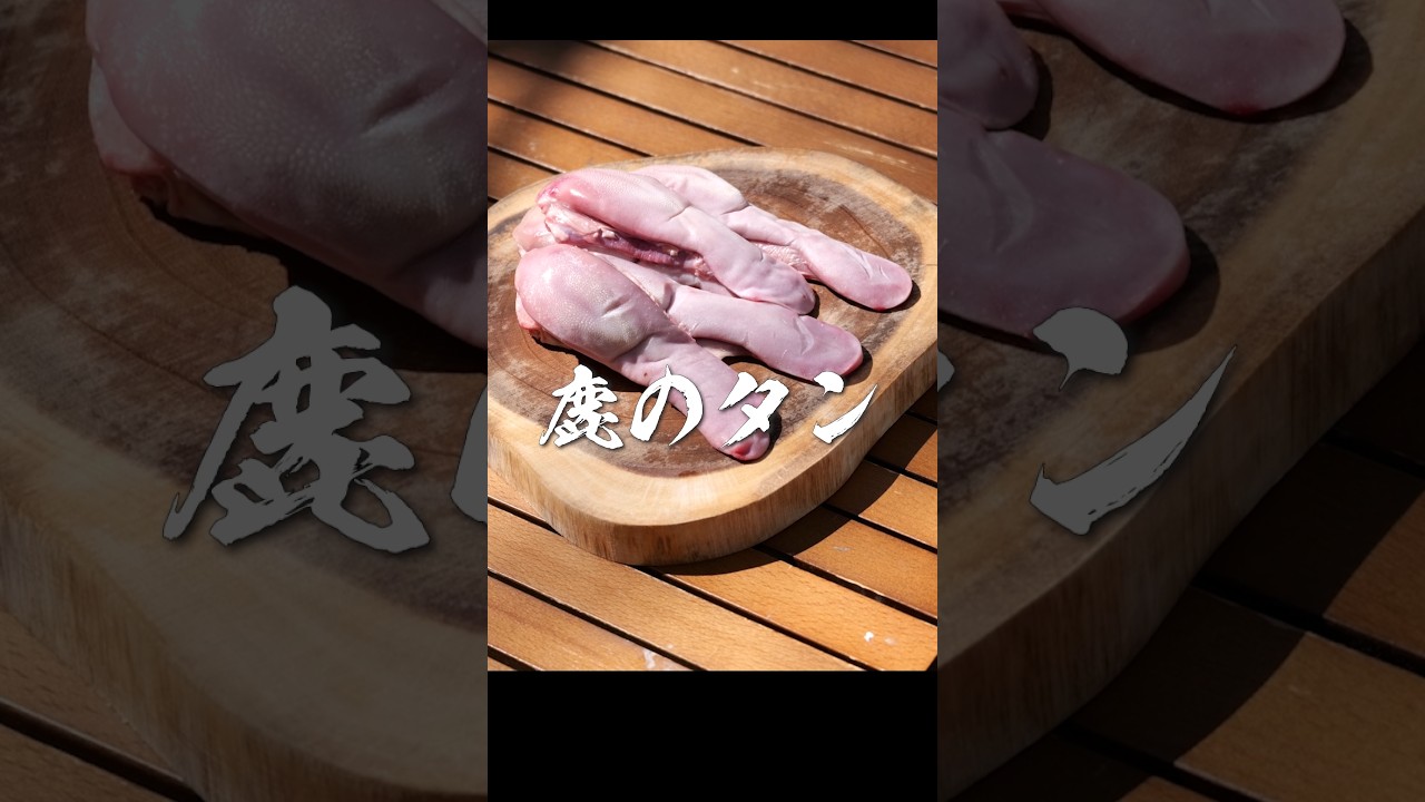 鹿のタンでタンシチュー煮込んでる間に筋トレ #ヘビさんのアウトドア日誌