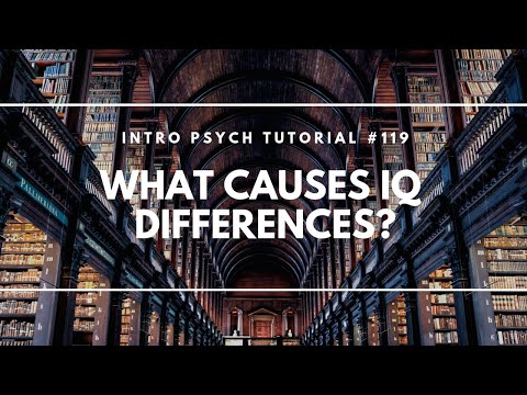 What is Intelligence Intro Psych Tutorial 112