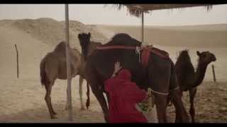 رحلة شيقة بين كثبان الصحراء -  An amazing journey through the desert dunes              