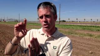 How it works: Rovey Dairy feeds sugar beets to cows