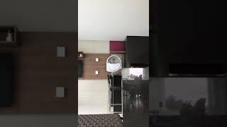 Curió Parceiro (Massai x Estrela 478) nossa grande aposta como galador