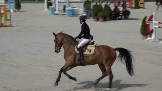 Video koně Quanta Costa van het Distelhof